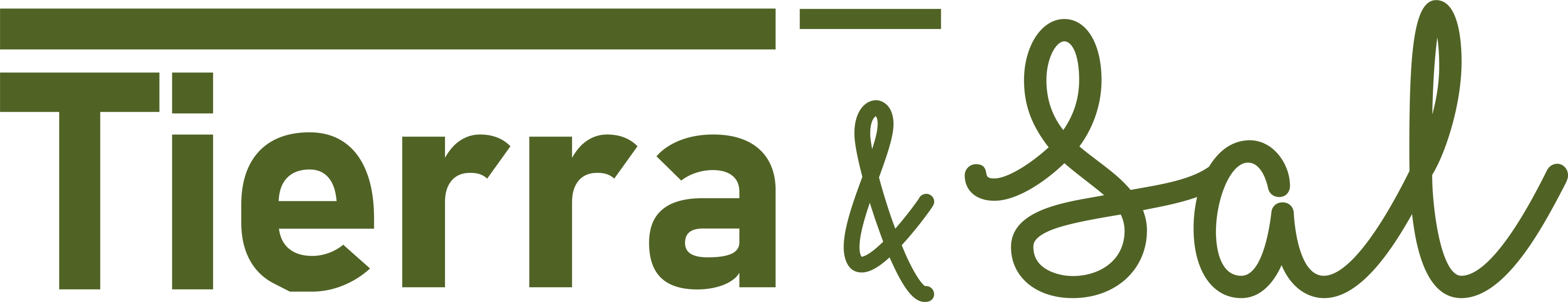 Tierra y Sal