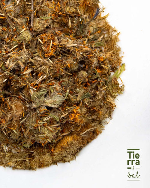 Arnica - Tierra y Sal