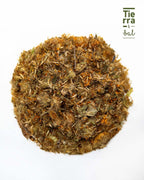 Arnica - Tierra y Sal