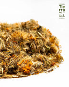 Arnica - Tierra y Sal