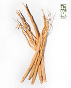 Ashwagandha - Tierra y Sal