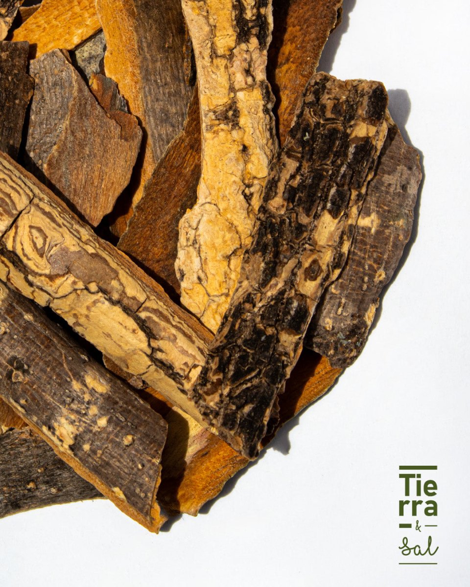 Cascara Sagrada - Tierra y Sal