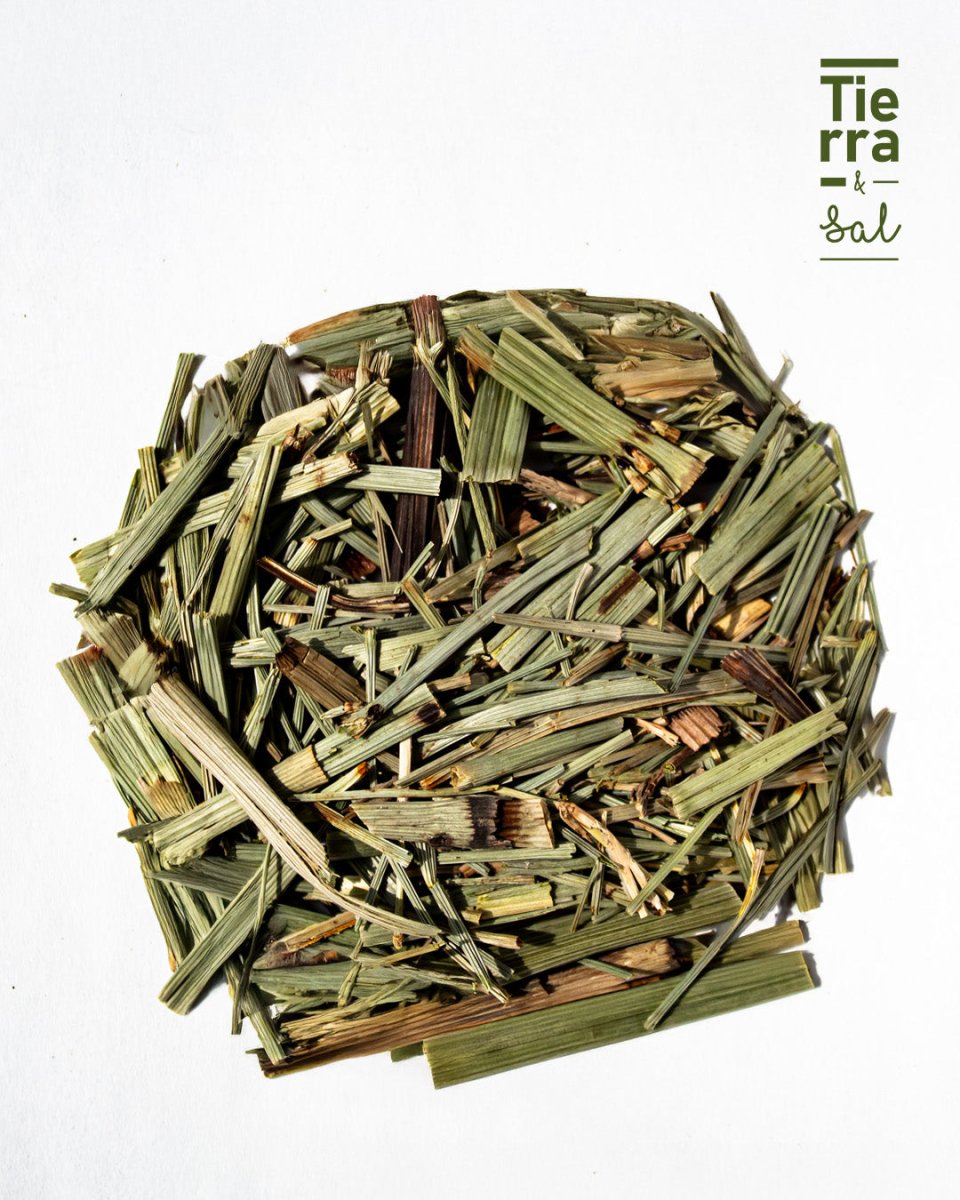 Cola de caballo - Tierra y Sal
