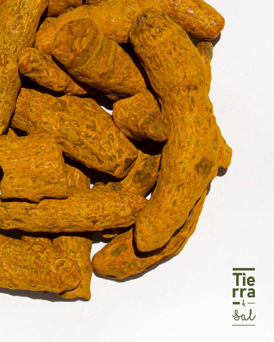 Curcuma Deshidratada - Tierra y Sal