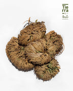Doradilla - Tierra y Sal