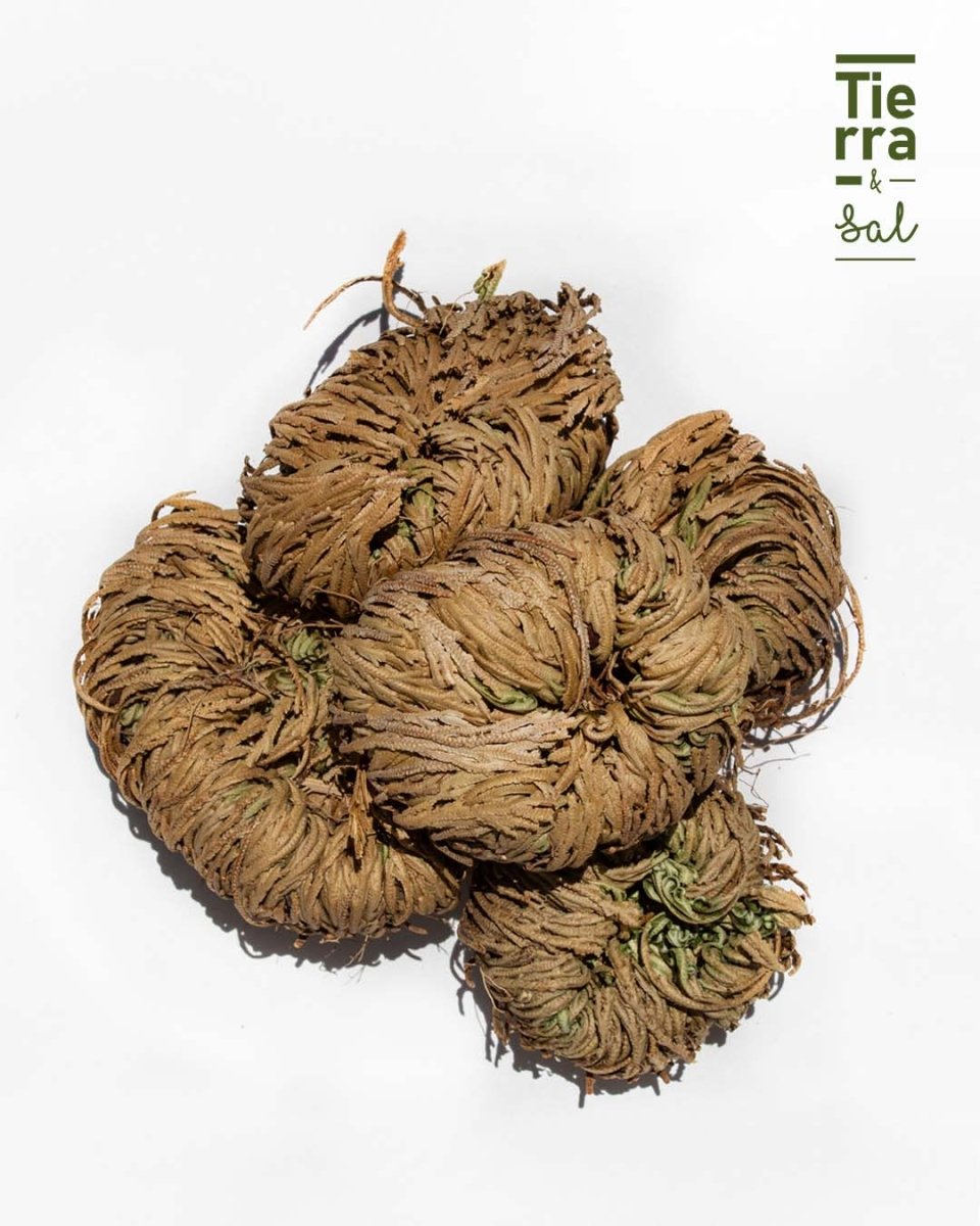 Doradilla - Tierra y Sal