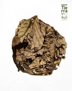 Guarumbo - Tierra y Sal