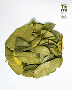 Hoja de Guanabana - Tierra y Sal