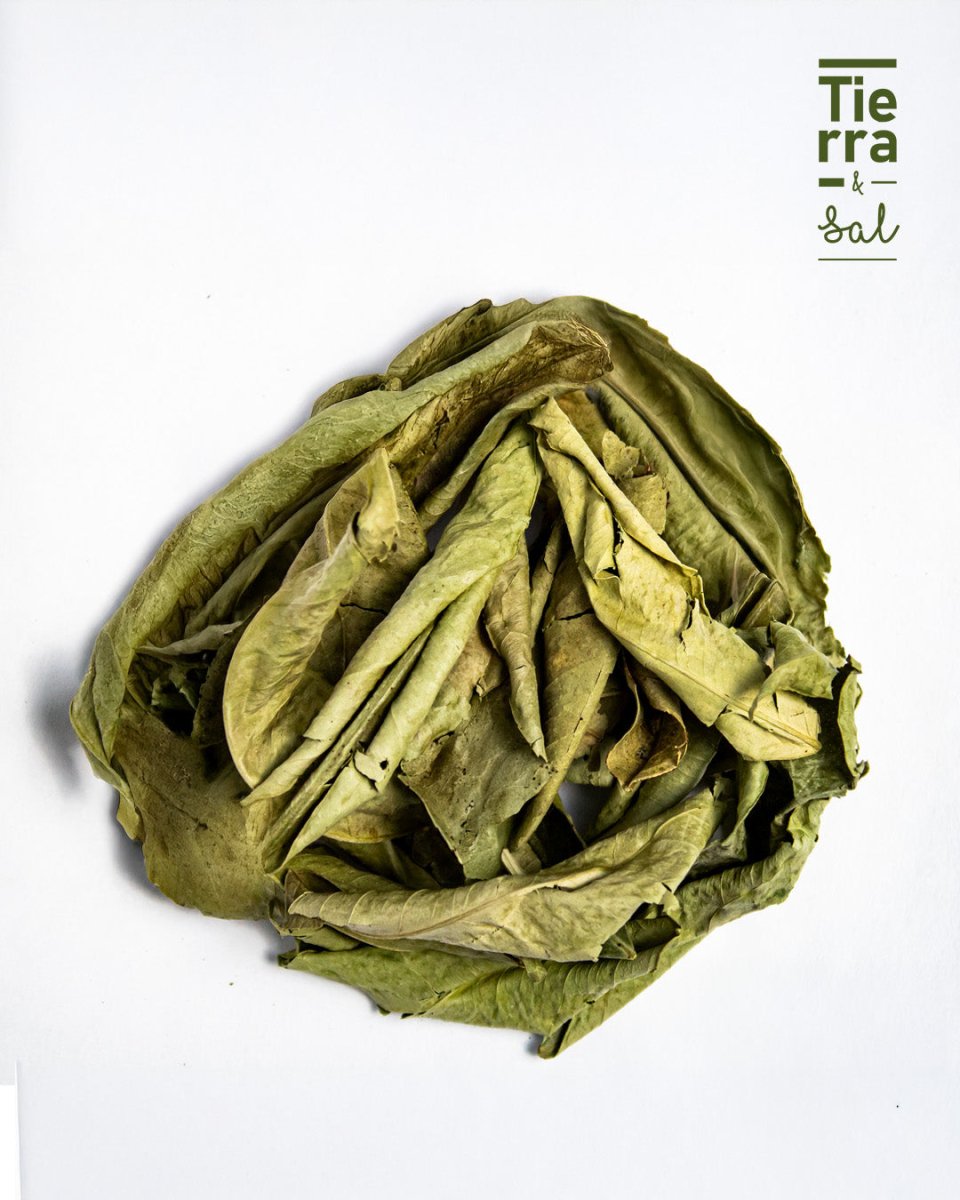 Hoja de Naranjo - Tierra y Sal