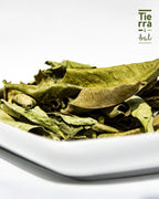 Hoja de Naranjo - Tierra y Sal