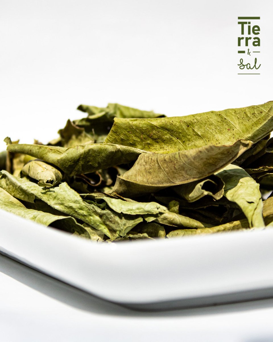 Hoja de Naranjo - Tierra y Sal