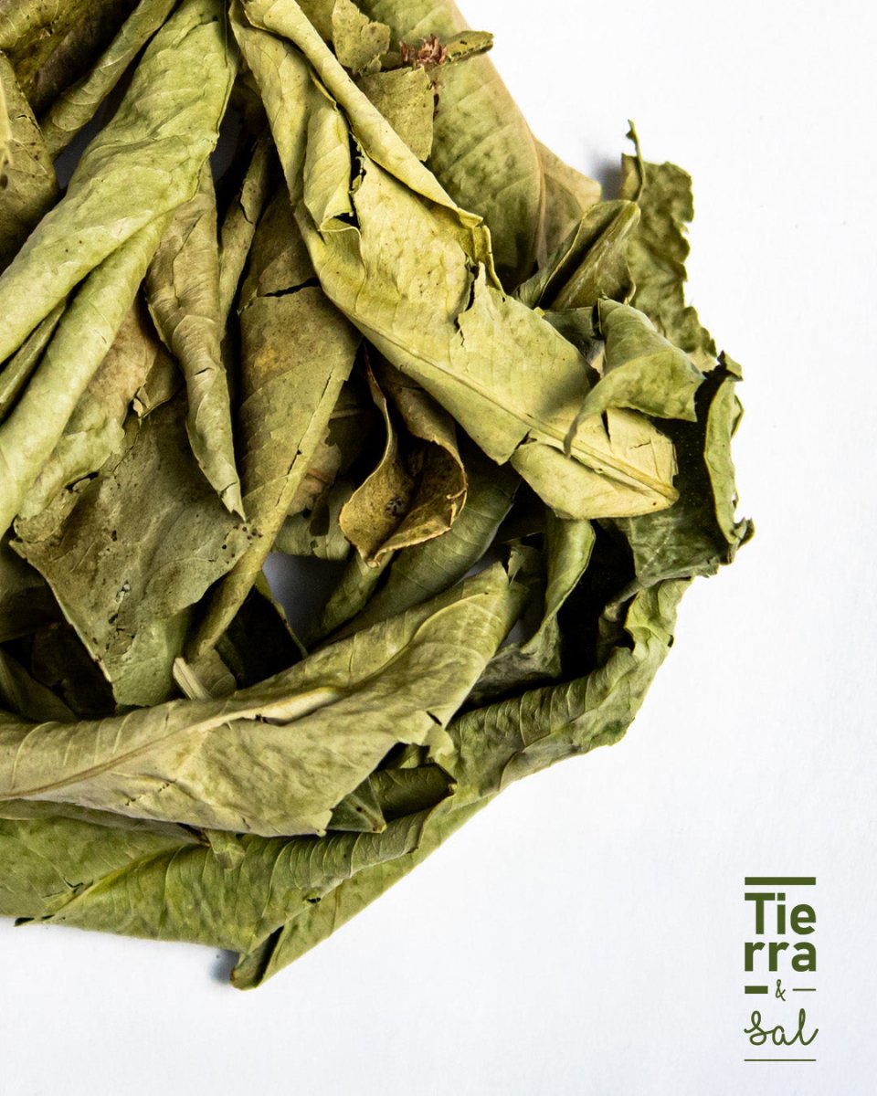 Hoja de Naranjo - Tierra y Sal