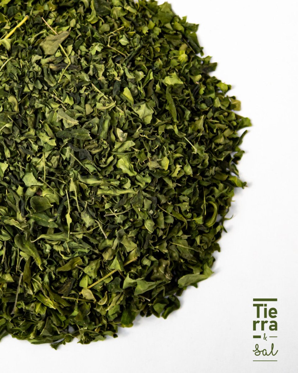 Hoja Moringa - Tierra y Sal