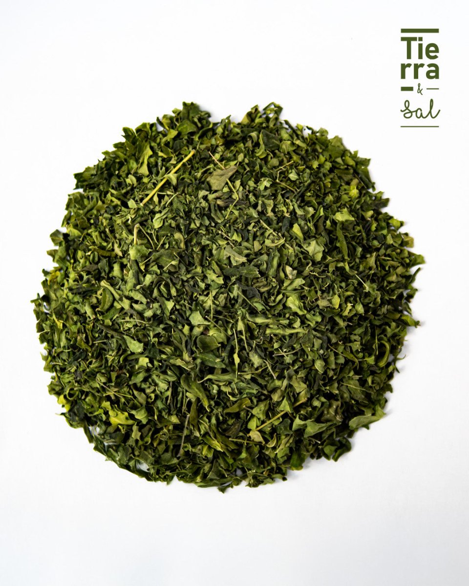 Hoja Moringa - Tierra y Sal