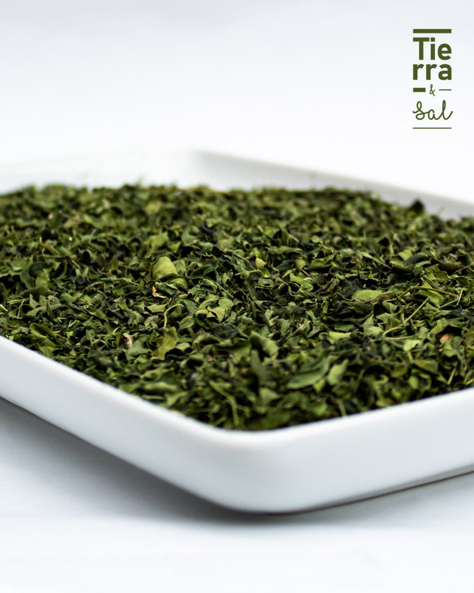 Hoja Moringa - Tierra y Sal