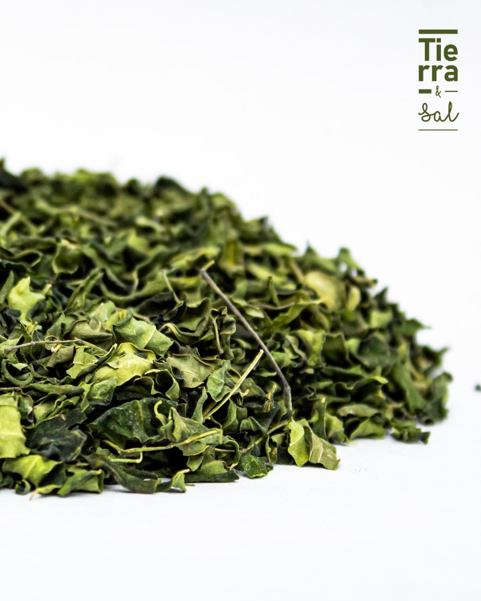 Hoja Moringa - Tierra y Sal