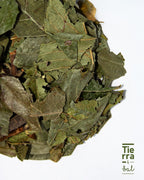 Hoja Nispero - Tierra y Sal