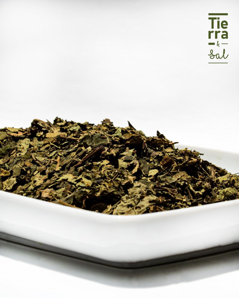 Hoja Santa - Tierra y Sal
