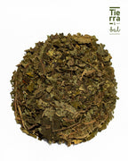 Hoja Santa - Tierra y Sal
