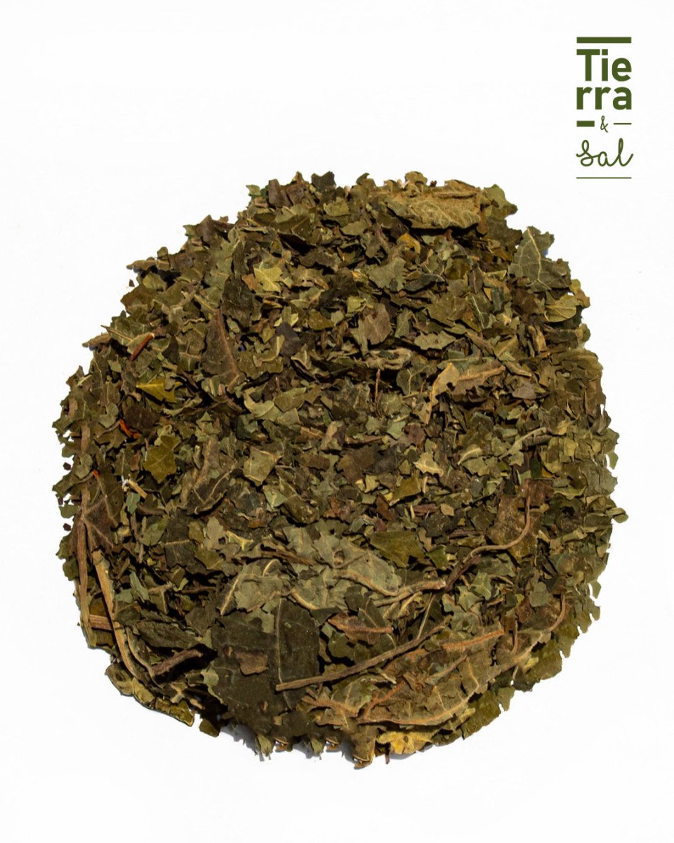 Hoja Santa - Tierra y Sal