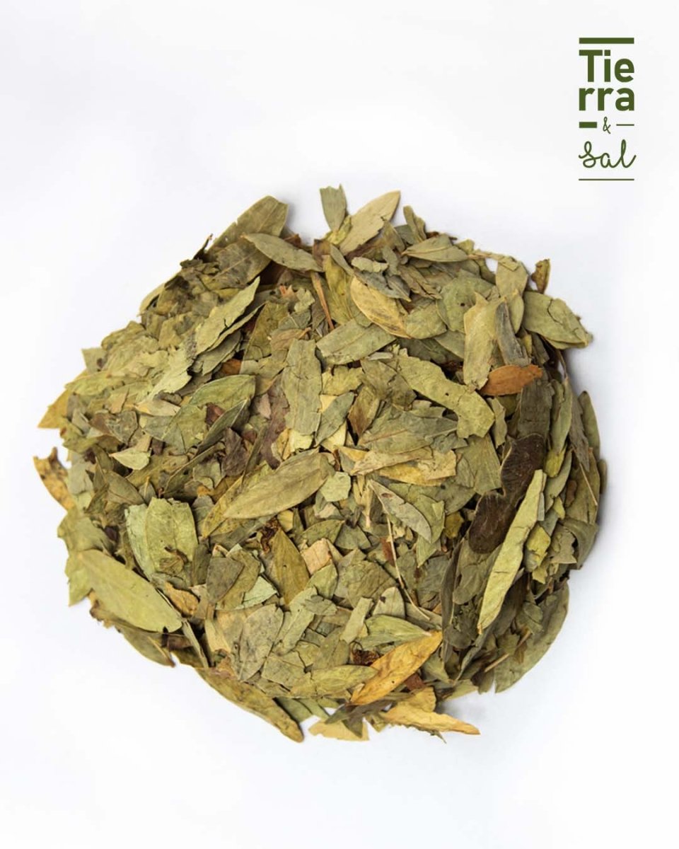 Hoja Sen - Tierra y Sal