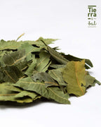 Neem - Tierra y Sal