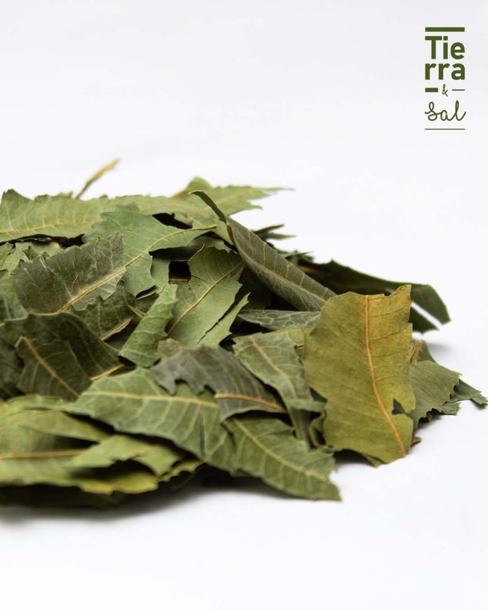 Neem - Tierra y Sal