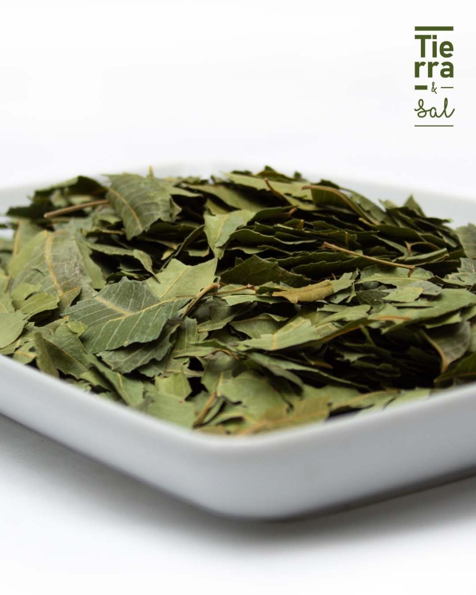 Neem - Tierra y Sal