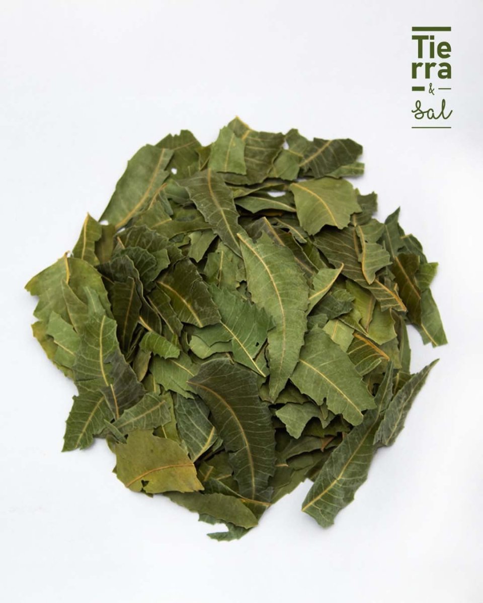 Neem - Tierra y Sal