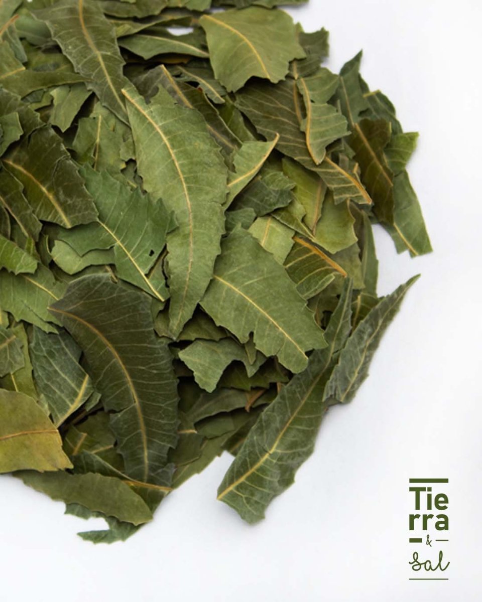 Neem - Tierra y Sal