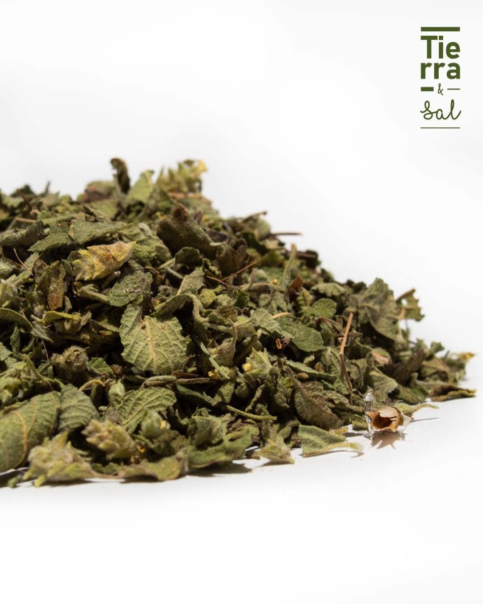 Oregano - Tierra y Sal