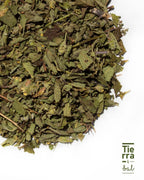 Oregano - Tierra y Sal