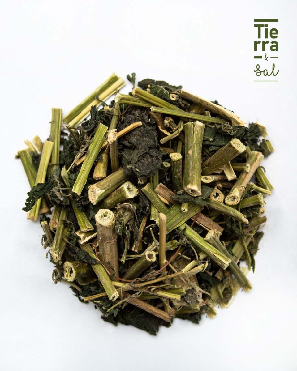 Ortiga - Tierra y Sal