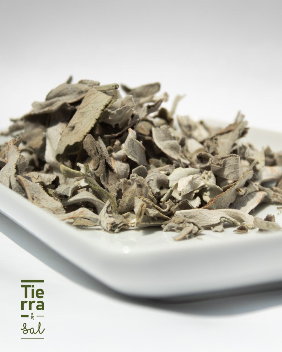 Salvia blanca 3 - Tierra y Sal