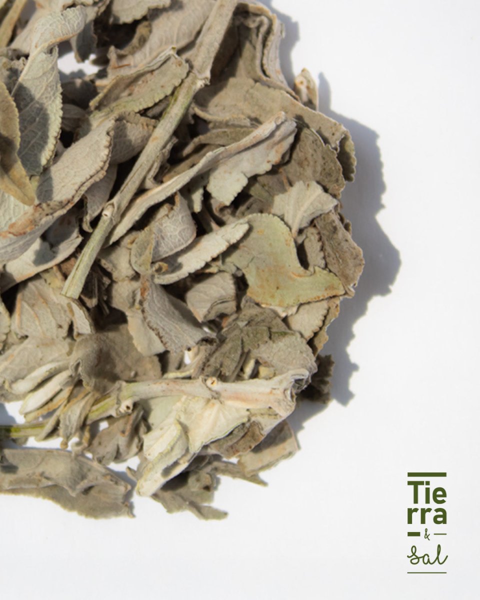 Salvia blanca 1 - Tierra y Sal