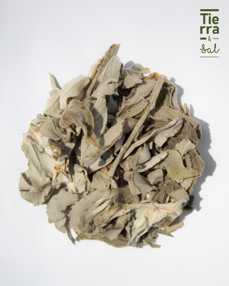Salvia blanca 4 - Tierra y Sal