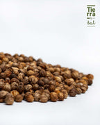 Semilla de Cilantro - Tierra y Sal