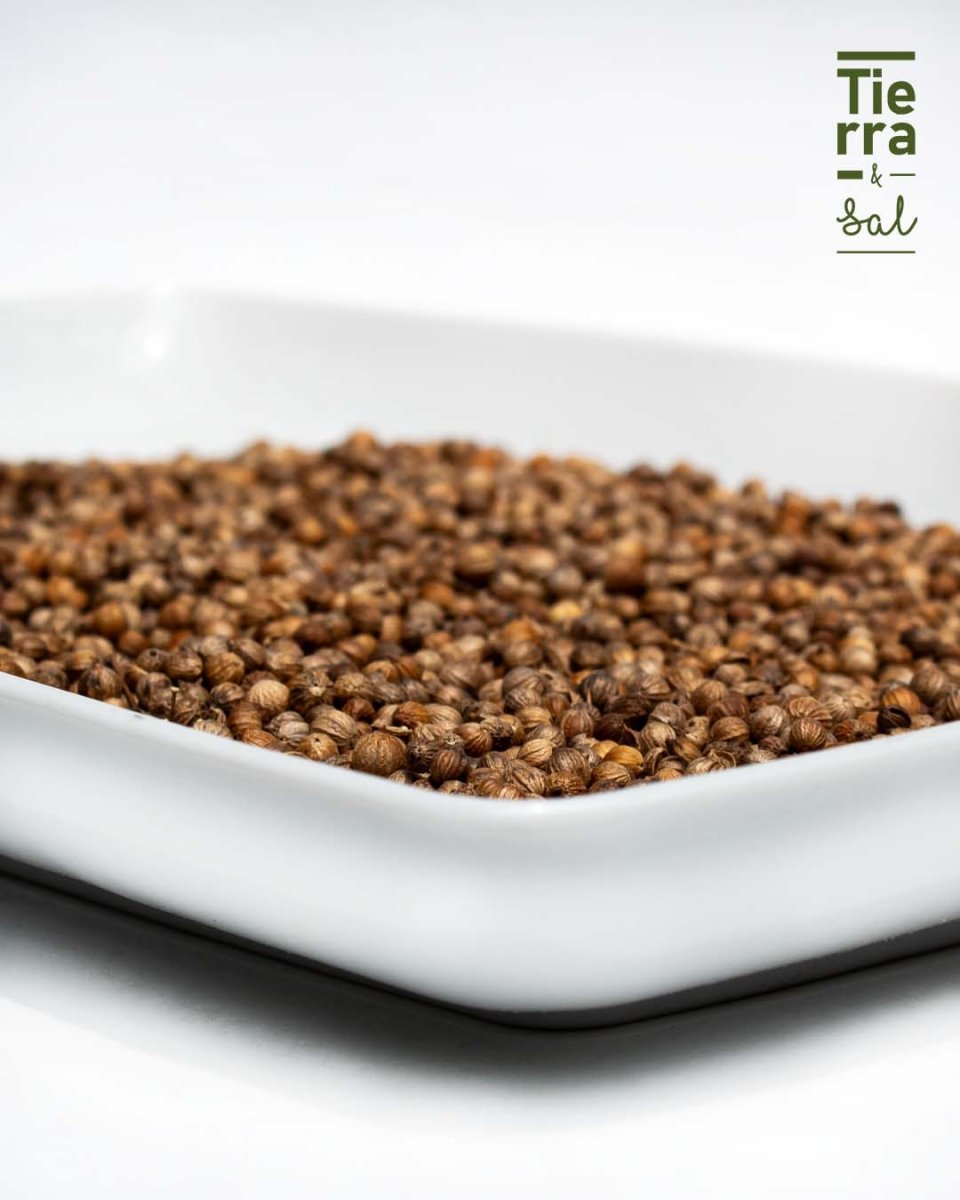 Semilla de Cilantro - Tierra y Sal