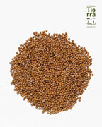 Semilla de Mostaza - Tierra y Sal