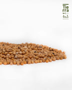 Semilla de Mostaza - Tierra y Sal