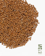 Semilla de Mostaza - Tierra y Sal