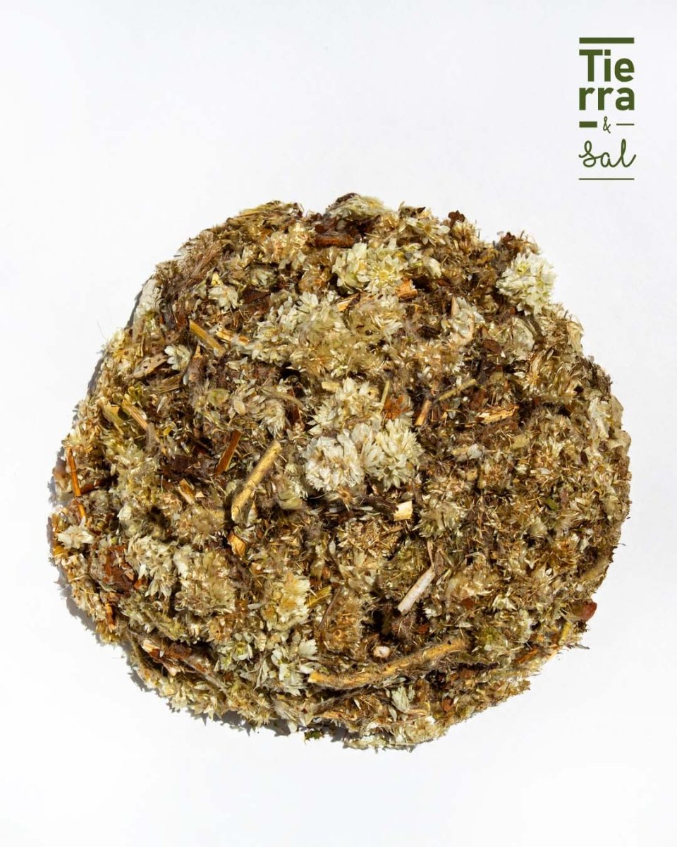 Gordolobo - Imagen 4