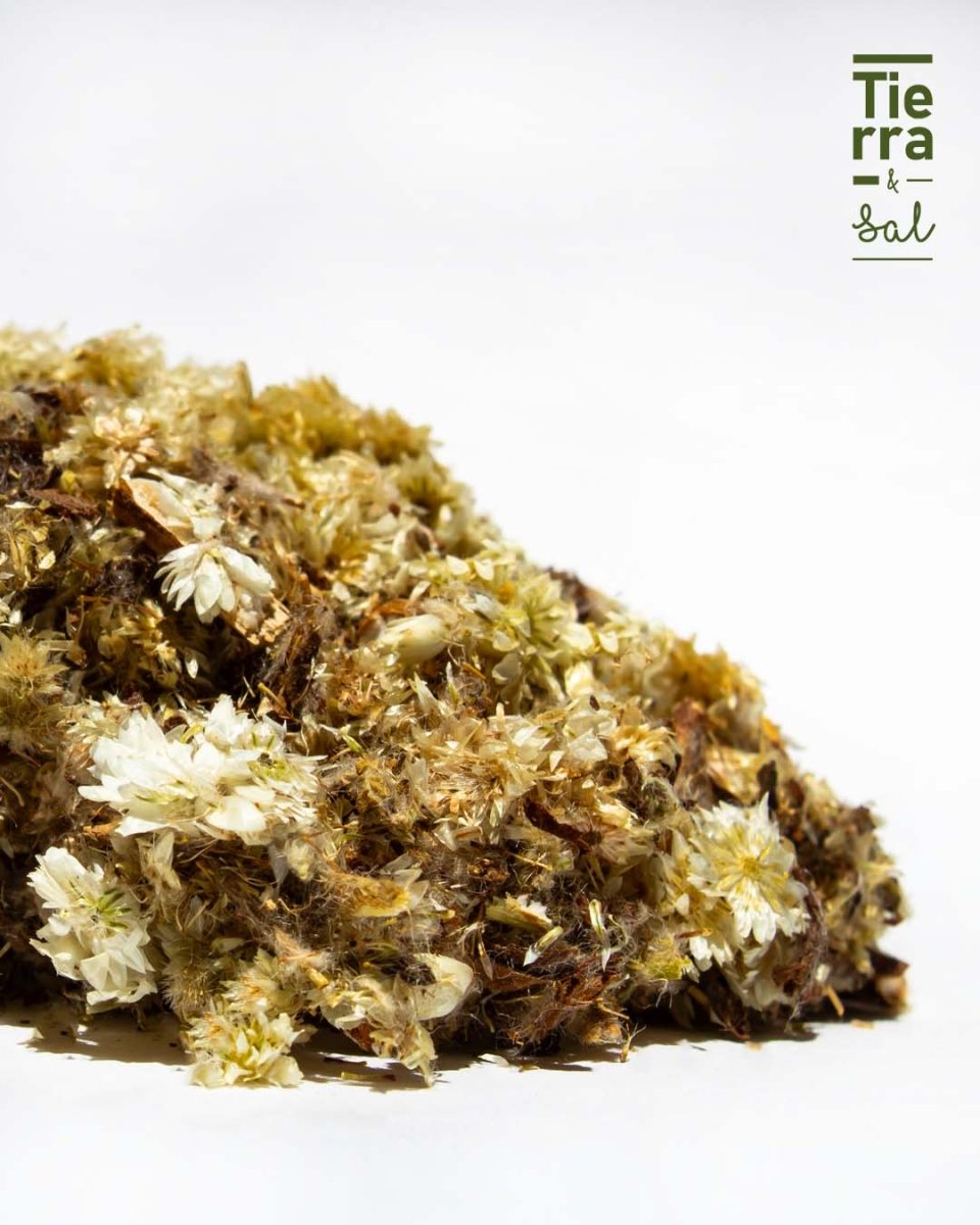 Gordolobo - Imagen 2