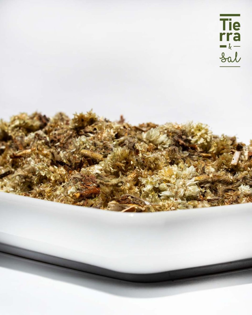 Gordolobo - Imagen 3